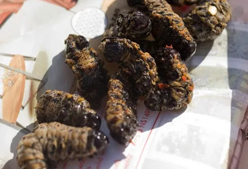 Proteína com asas  ou seria pernas?