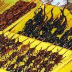 Comidas Estranhas Pelo Mundo: Delícias ou Pesadelos Gastronômicos?