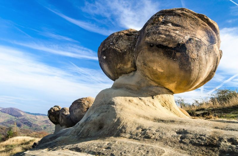 O Mistério da Pedra que Respira A Estranha Vida das Living Stones