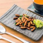 Besouros: a proteína que você já comeu sem saber