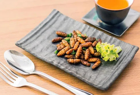 Besouros: a proteína que você já comeu sem saber